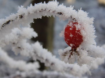 [1576841498619858.jpg]