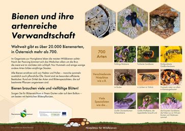 [1761823523398787.jpg]