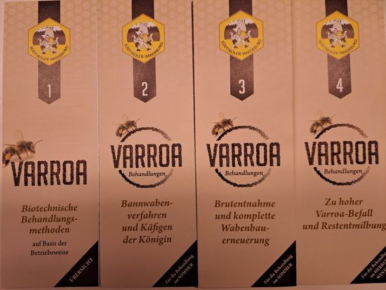 [1770193808649179.jpg]