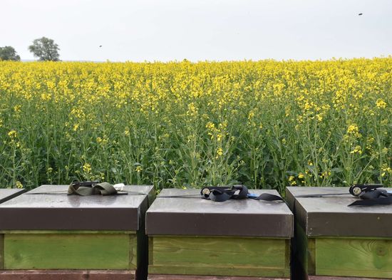 [1772608582913421.jpg]