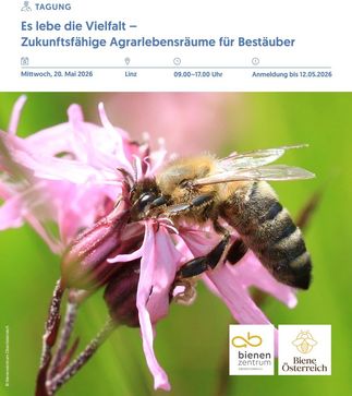 [177607809532646.jpg]