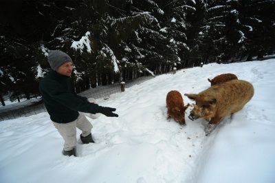 ja © Stefan Hantsch