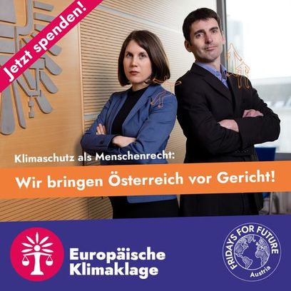 © Fridays for Future Austria
