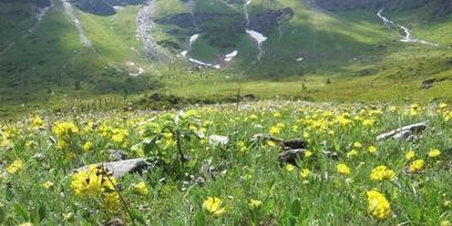 © BI "Schützt Kärntens Alpenregionen"