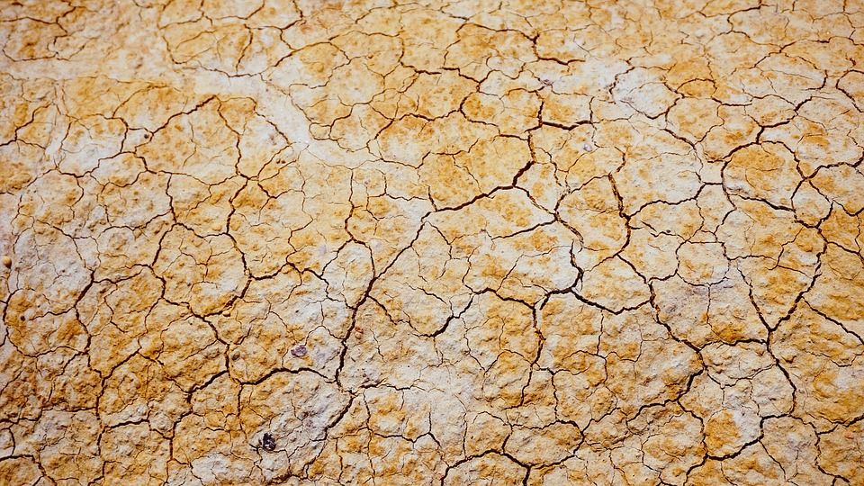 klimawandeldürre.jpg.jpg