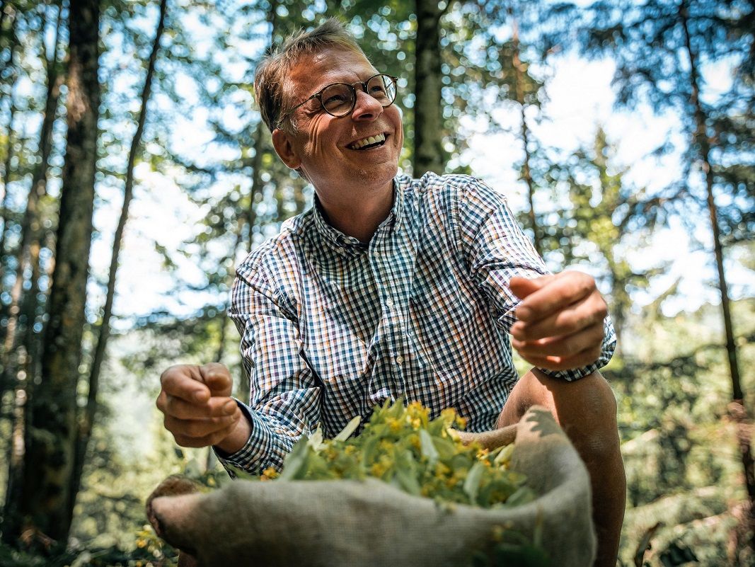 © ÖBf/Roast Media/ Axel Kiesbye bei der Ernte der Lindenblüten