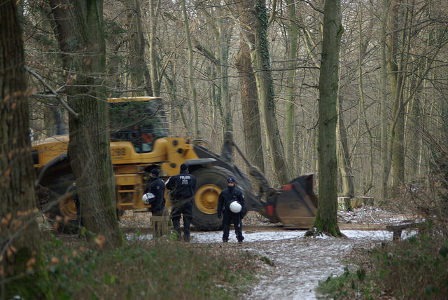 HambacherWald.jpg.jpg