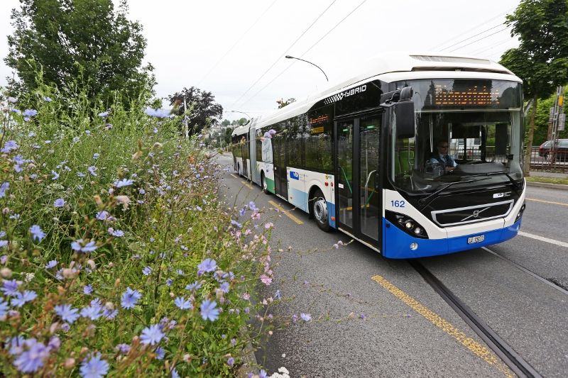 © VLB/ Der Hybridgelenkbus in Luzern