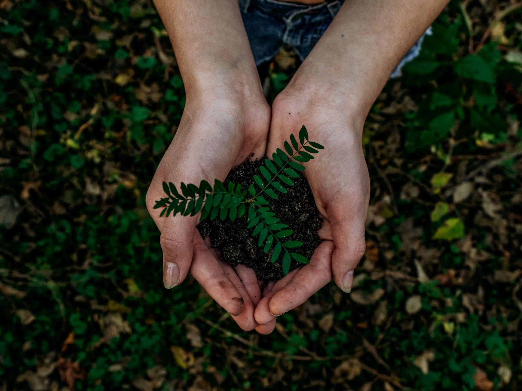 © Noah Buscher unsplash.com