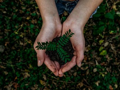 © Noah Buscher unsplash.com