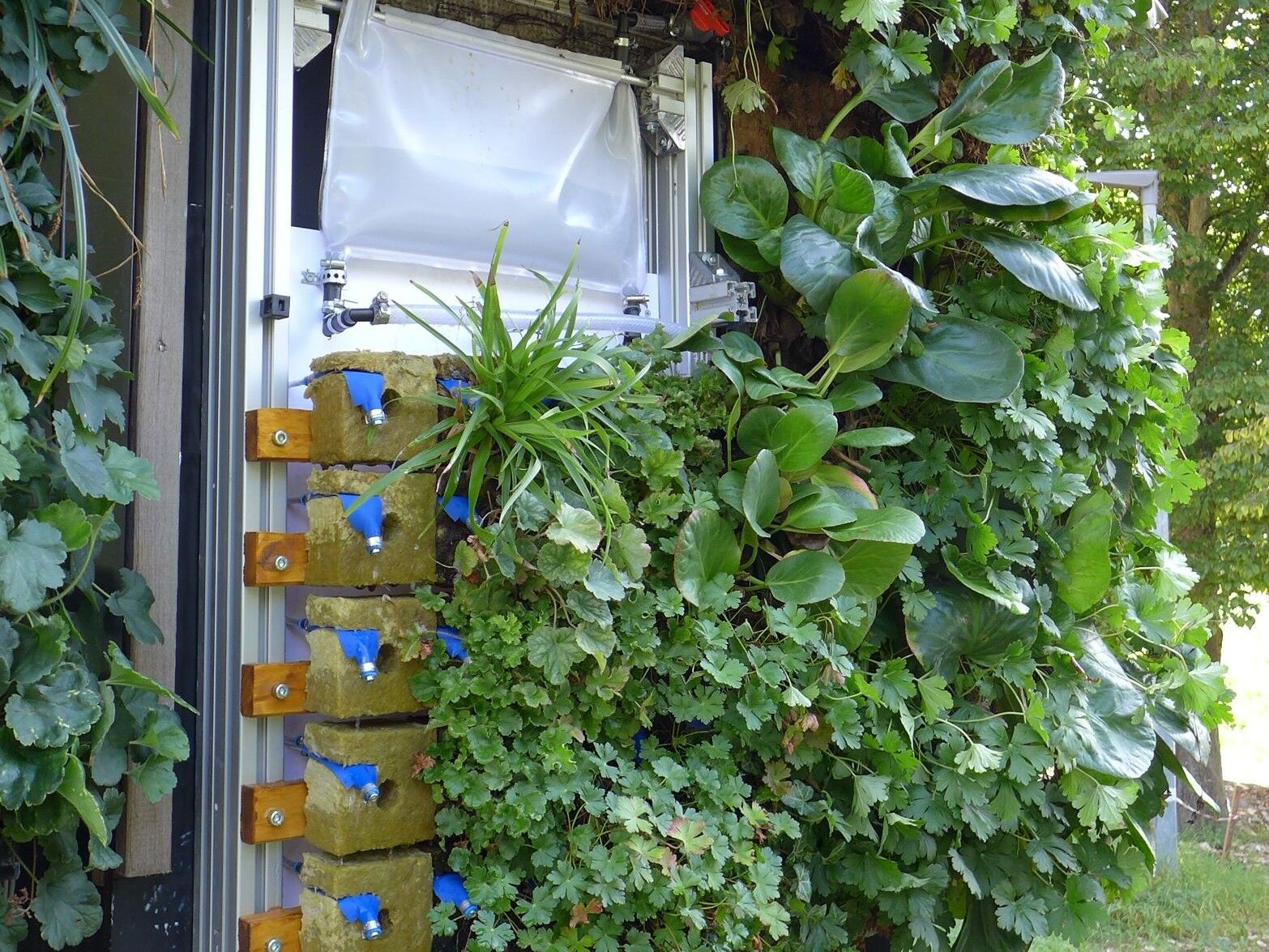 © DITF/ Living Wall