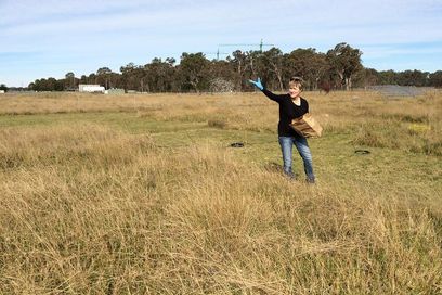 © Raul Ochoa Hueso/ Eine Wissenschaftlerin bringt Nährstoffe auf einer Versuchsfläche des Nutrient Network in Australien (Yarramundi) aus, um die Auswirkungen auf die biologische Vielfalt zu testen.