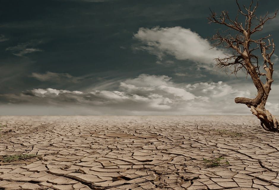 ©  Pixabay - pixel 2013 / Die Temperaturen steigen weiter an- Folge sind mehr Dürre und andere Wetterkatastrophen