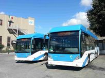 Wasserstoffbusse.jpg.jpg