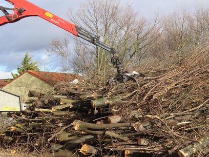 © GH / Rodungen an nur einem Tag, parallel zur Räumung