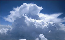 ja © Bayerischen Akademie der Wissenschaften