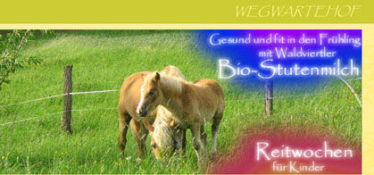 ja © www.wegwartehof.at