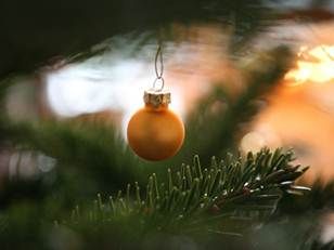 Macht uns der Duft vom Tannenbaum glücklicher? Ernährung und Gesundheit