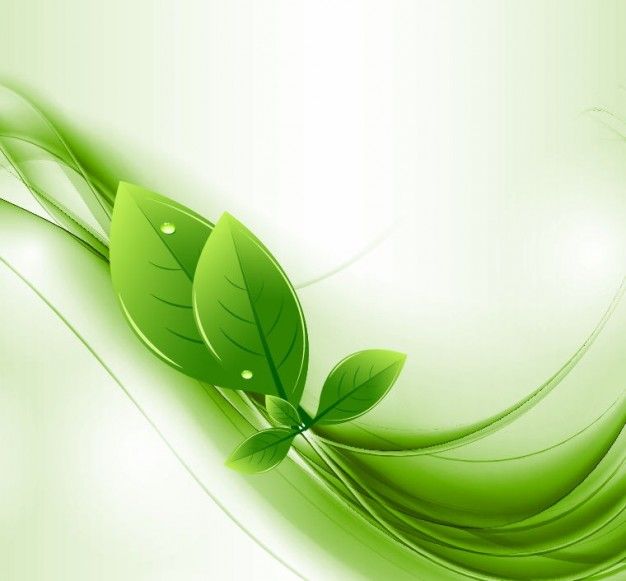 © www.webdesignhot.com
