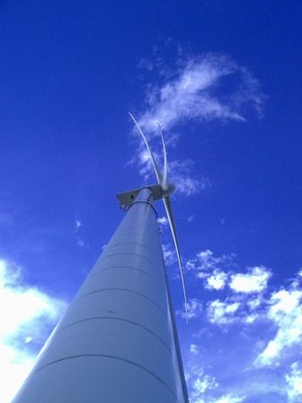 ja © Martin Litschauer