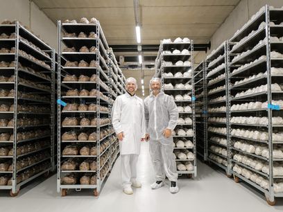 © WernerHarrer.com / Thomas und Hermann Neuburger in der Pilzzucht