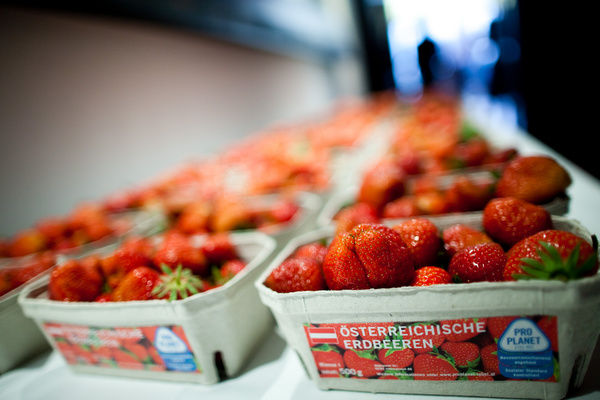 erdbeeren.jpg.jpg