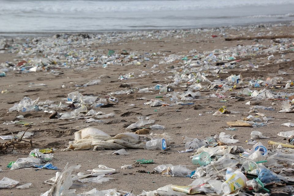 plastikmüll.jpg.jpg