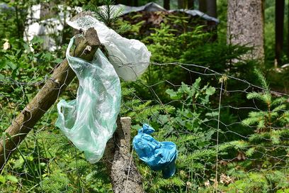 © RitaE / Plastikmüll an unterschiedlichsten Plätzen