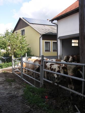 ja © Martin Litschauer