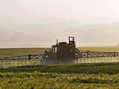 © Erich Westendarp   pixabay.com