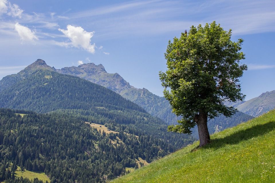 © Simon Blüthenkranz / pixabay.com