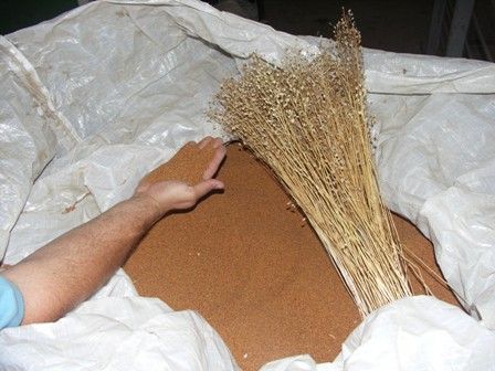 ja © Ing. Martin Litschauer