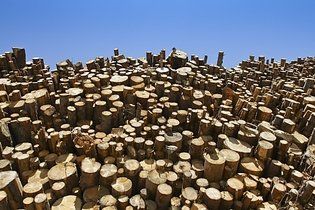 © Thomas Leitner/ Zellstoff Pöls AG