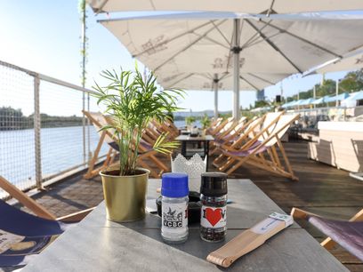 © Klima– und Energiefonds / Sommerliche Stimmung im September an der Neuen Donau beim Klimafonds