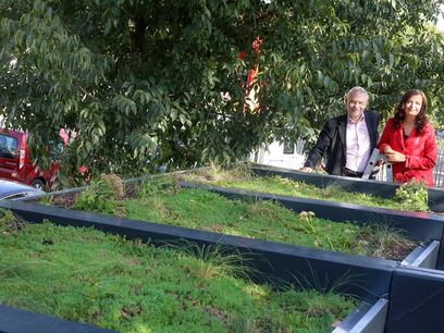 © PID Fürthner/ Das Dach des neuen Wartehäuschens