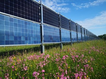 ©  Solverde Bürgerkraftwerke Energiegenossenschaft eG  / Agrar–PV–Anlage in Donaueschingen