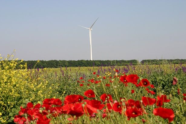 © Raiffeisen Leasing