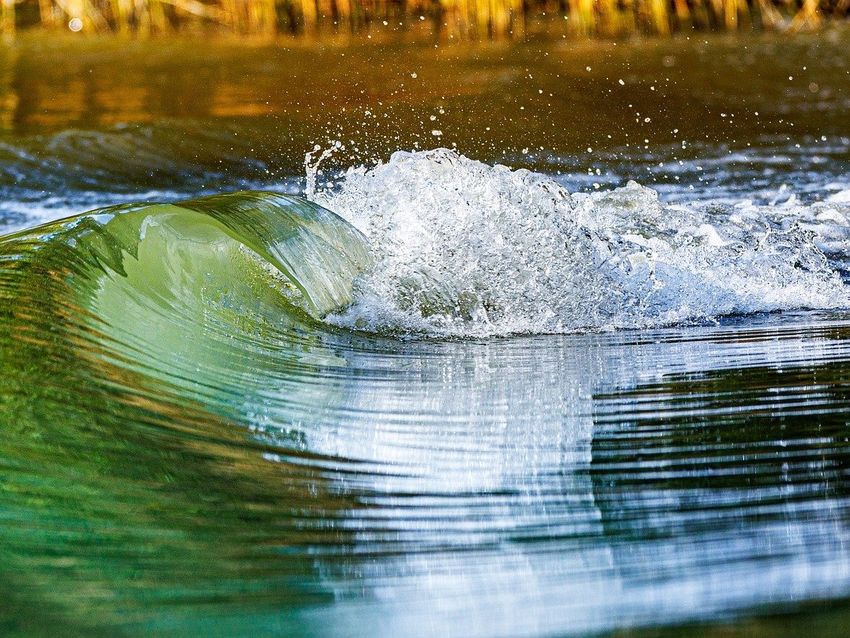 DonauWasser.jpg