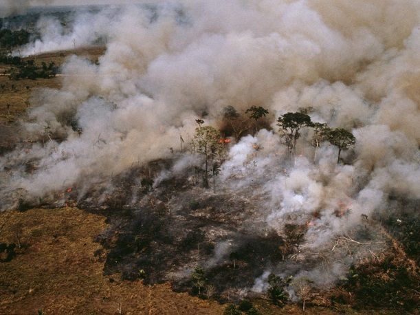 © WWF Mark Edwards / Brandrodung im Amazons