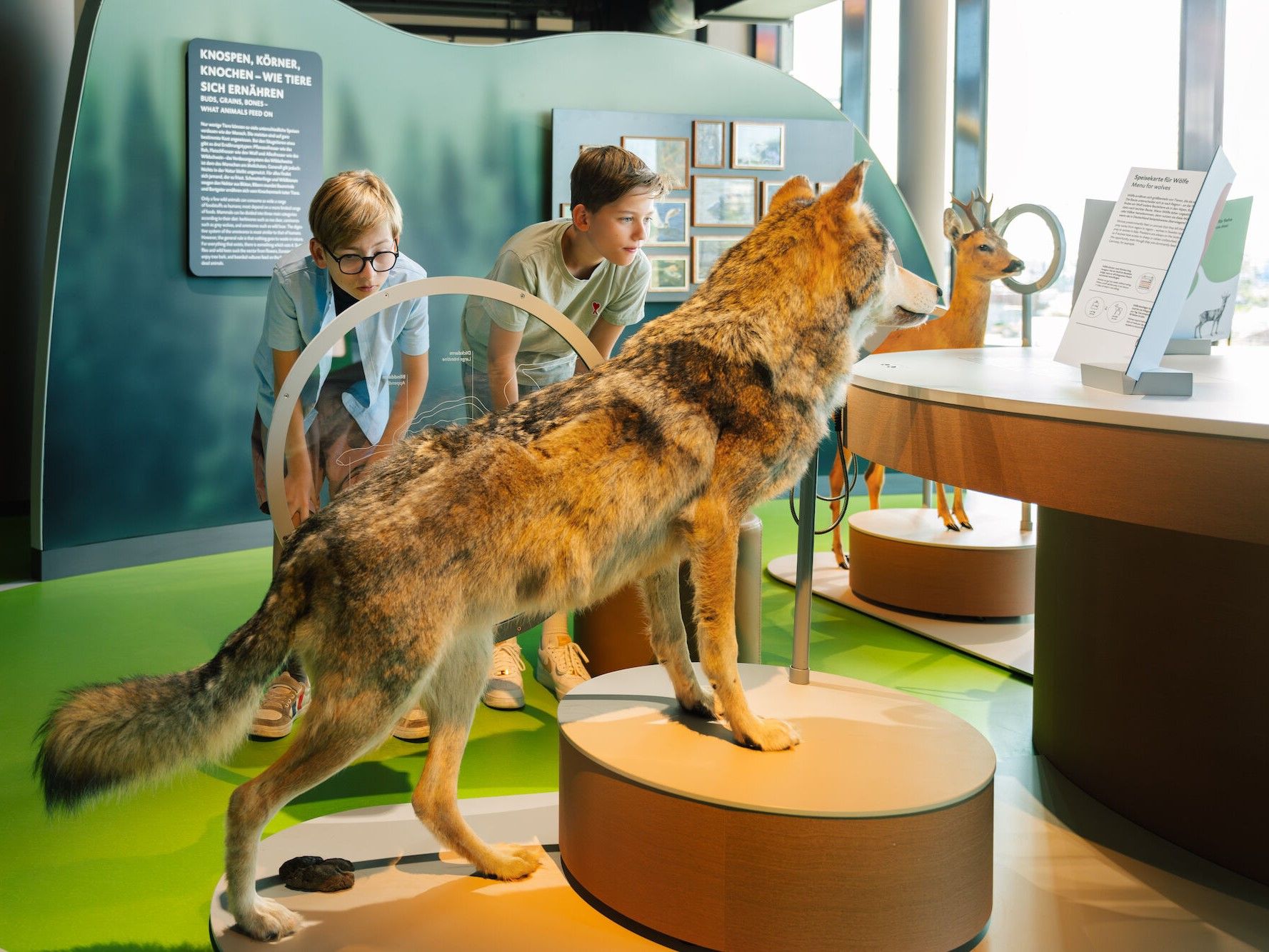 © Atelier Brückner / Wildlife Embassy