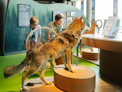 © Atelier Brückner / Wildlife Embassy