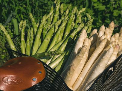 © Marchfeldspargel / Spargel aus dem Marchfeld