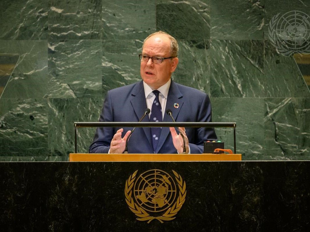 © UN Photo /Fürst Albert II bei seiner Rede bei der Generalversammlung der UNO