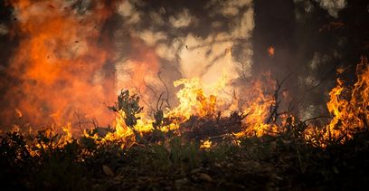 © skeeze / Waldbrand