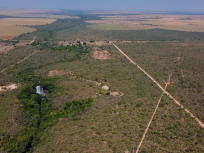 © Myke Sena WWF Brazil/ Von oben ist die Abholzung stark sichtbar