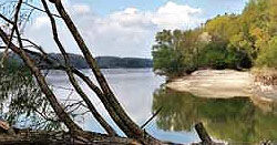 ja © lobauautobahn.at – Rettet die Lobau