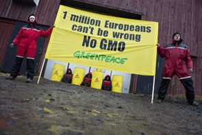 © Christian Aslund/Greenpeace
