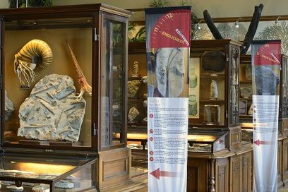 © NHM– Kurt Kracer / Ressourceneffizienz im Zentrum