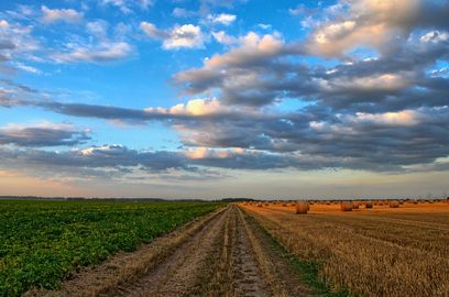© Wolfgang Borchers – pixabay.com / Landschaft – Äcker