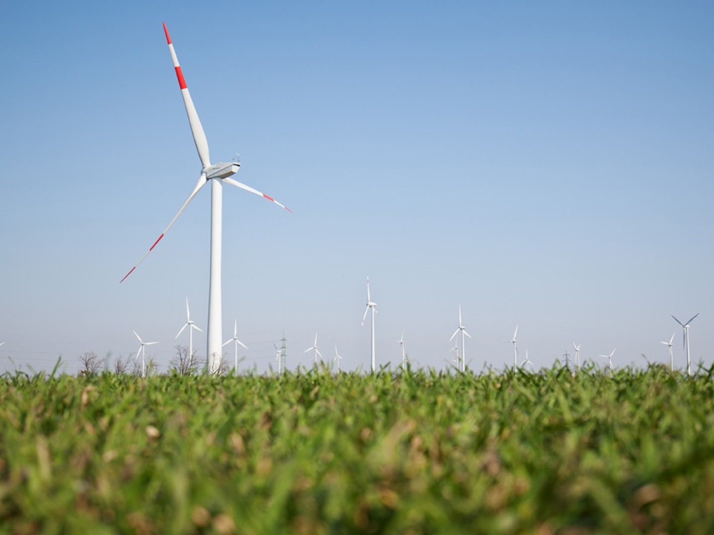 © thomaskirschner.com / Windpark der oekostrom AG in Parndorf